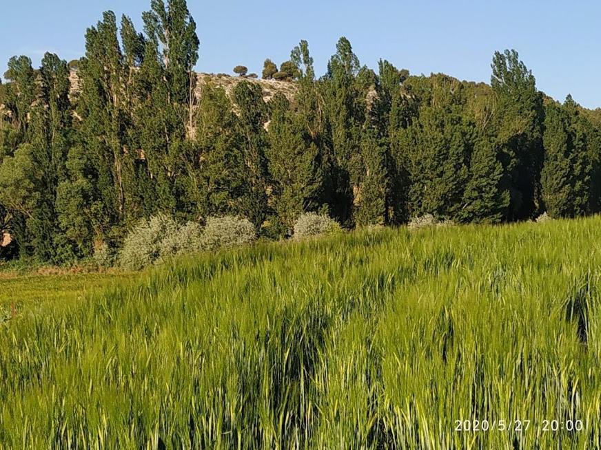 Casa Rural La Morena Castroverde de Cerrato Εξωτερικό φωτογραφία