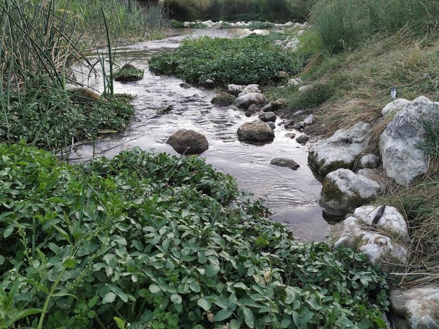 Casa Rural La Morena Castroverde de Cerrato Εξωτερικό φωτογραφία