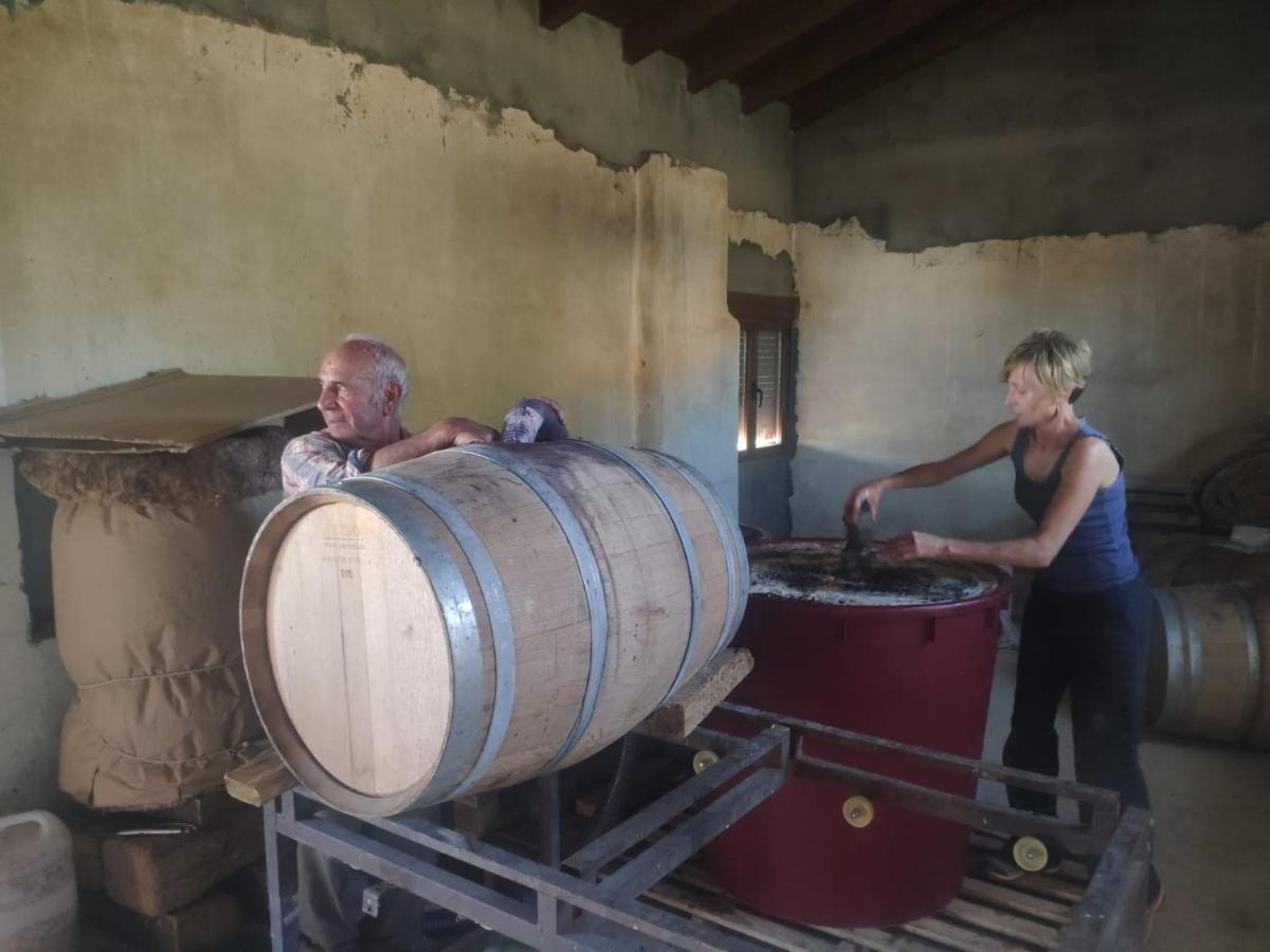 Casa Rural La Morena Castroverde de Cerrato Εξωτερικό φωτογραφία