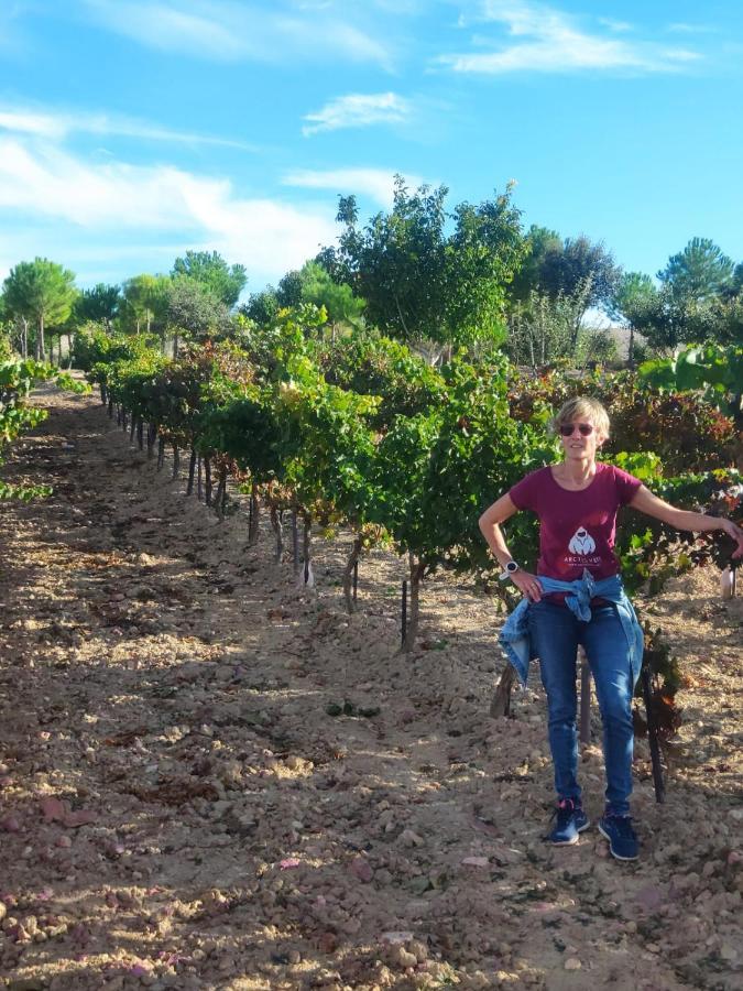 Casa Rural La Morena Castroverde de Cerrato Εξωτερικό φωτογραφία